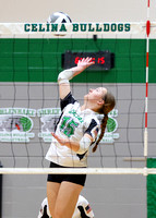 celina-ottawa-glandorf-volleyball-006