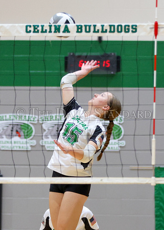 celina-ottawa-glandorf-volleyball-006