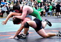 celina-coldwater-wrestling-006