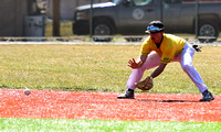 wsu-lake-campus-kent-t-baseball-005