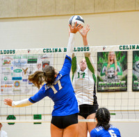 celina-defiance-volleyball-003