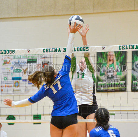 celina-defiance-volleyball-003