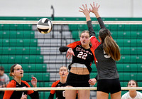 coldwater-centerburg-volleyball-002