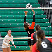 coldwater-centerburg-volleyball-007