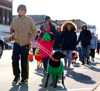 celina-reindog-parade-009