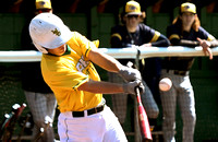 wsu-lake-campus-kent-t-baseball-010