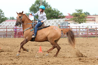 auglaize-county-fair-horse-show-019