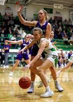 celina-fort-recovery-basketball-girls-017