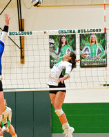 celina-defiance-volleyball-009