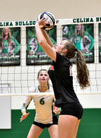 celina-coldwater-volleyball-004
