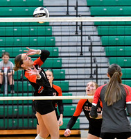 coldwater-centerburg-volleyball-006