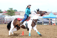 auglaize-county-fair-horse-show-012