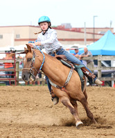 auglaize-county-fair-horse-show-016