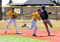 wsu-lake-campus-kent-t-baseball-008
