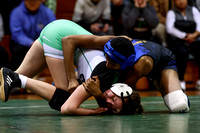 celina-vs-st-marys-girls-wrestling-003