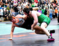 celina-coldwater-wrestling-004