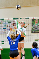 celina-defiance-volleyball-005