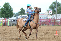 auglaize-county-fair-horse-show-020