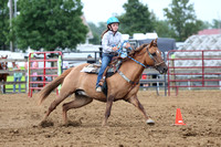 auglaize-county-fair-horse-show-015