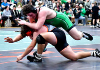 celina-coldwater-wrestling-007