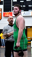 celina-coldwater-wrestling-009