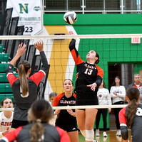 coldwater-centerburg-volleyball-003