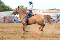 auglaize-county-fair-horse-show-018