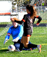 coldwater-lima-central-catholic-soccer-girls-005