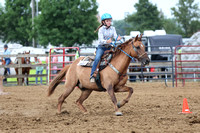 auglaize-county-fair-horse-show-014