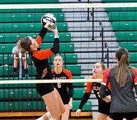 coldwater-centerburg-volleyball-005