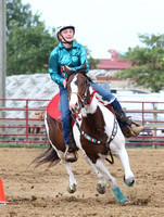 auglaize-county-fair-horse-show-010