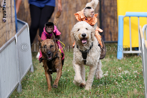 auglaize-county-fair-day-1-020