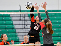 coldwater-centerburg-volleyball-001