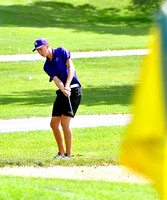 fort-recovery-marion-local-golf-boys-006