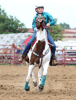 auglaize-county-fair-horse-show-011