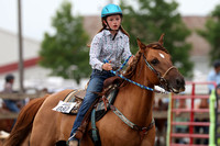 auglaize-county-fair-horse-show-021