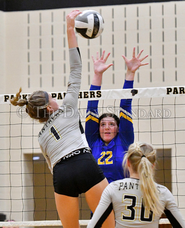 parkway-st-marys-volleyball-017