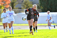 coldwater-lima-central-catholic-soccer-girls-002